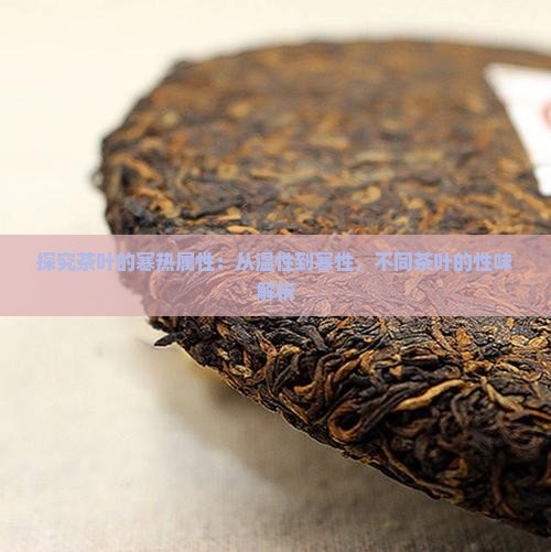 探究茶叶的寒热属性：从温性到寒性，不同茶叶的性味解析
