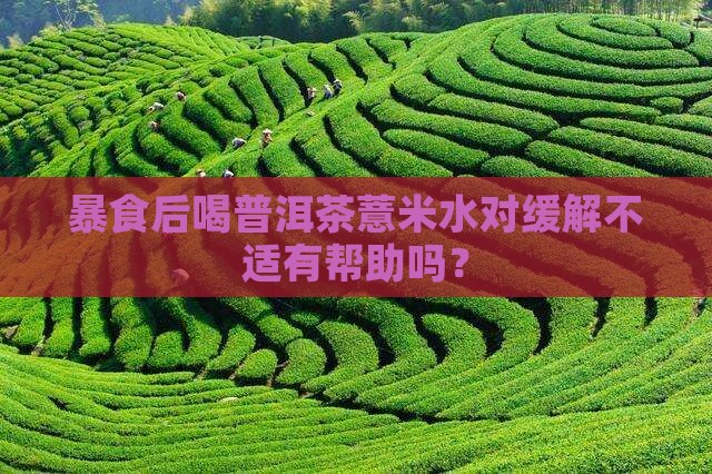 暴食后喝普洱茶薏米水对缓解不适有帮助吗？