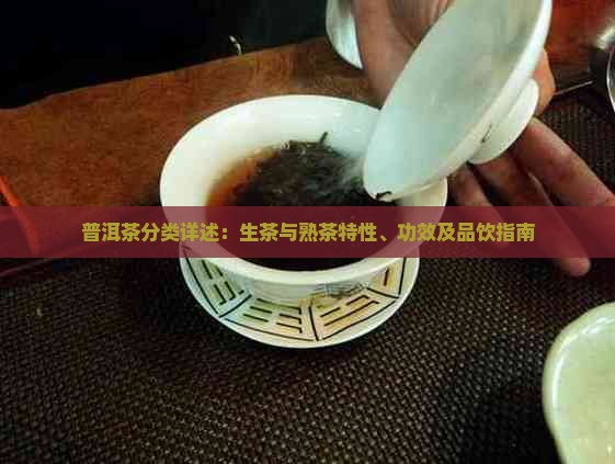 普洱茶分类详述：生茶与熟茶特性、功效及品饮指南