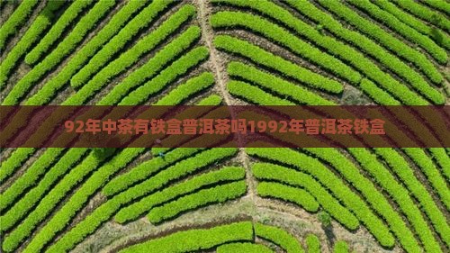92年中茶有铁盒普洱茶吗1992年普洱茶铁盒