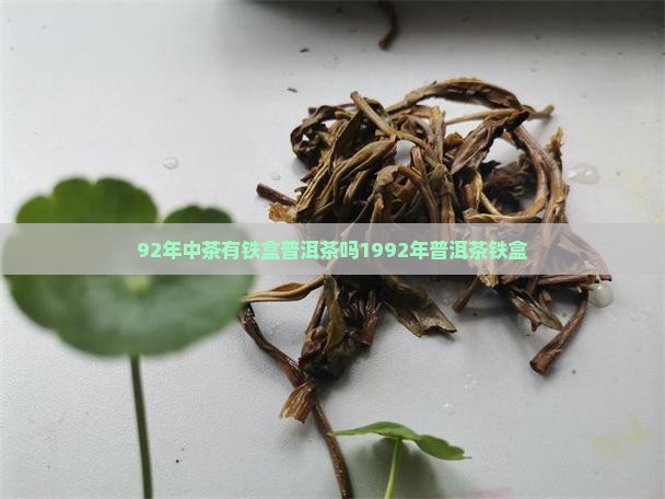 92年中茶有铁盒普洱茶吗1992年普洱茶铁盒