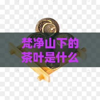 梵净山下的茶叶是什么茶？贵州梵净山绿茶