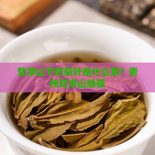 梵净山下的茶叶是什么茶？贵州梵净山绿茶