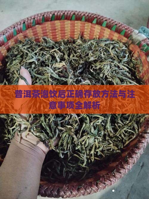 普洱茶泡饮后正确存放方法与注意事项全解析