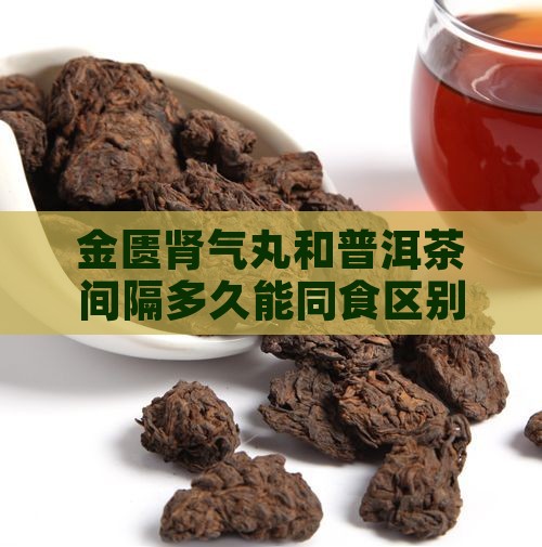金匮肾气丸和普洱茶间隔多久能同食区别