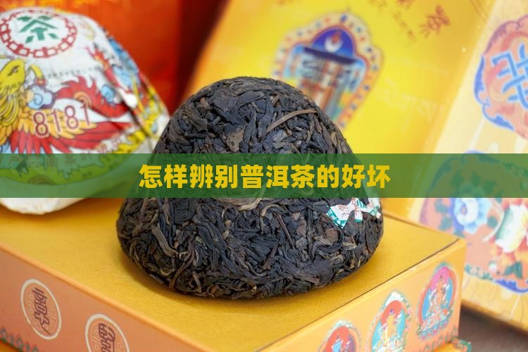 怎样辨别普洱茶的好坏
