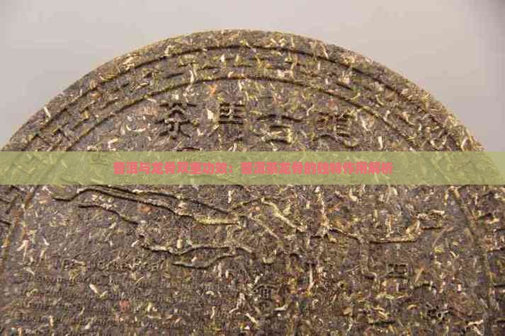 普洱与龙骨双重功效：普洱茶龙骨的独特作用解析
