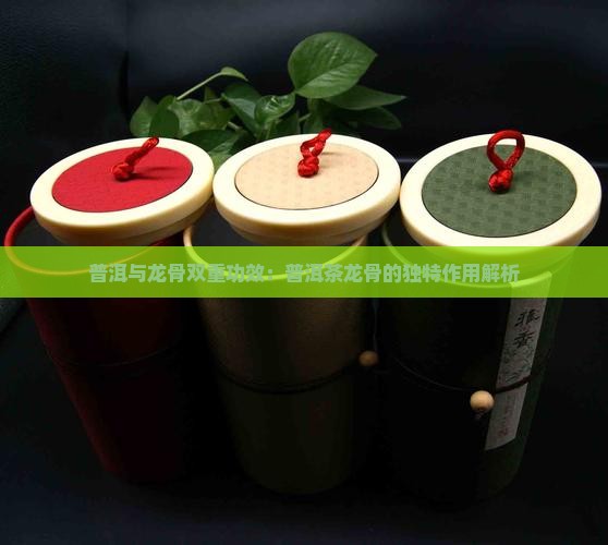 普洱与龙骨双重功效：普洱茶龙骨的独特作用解析