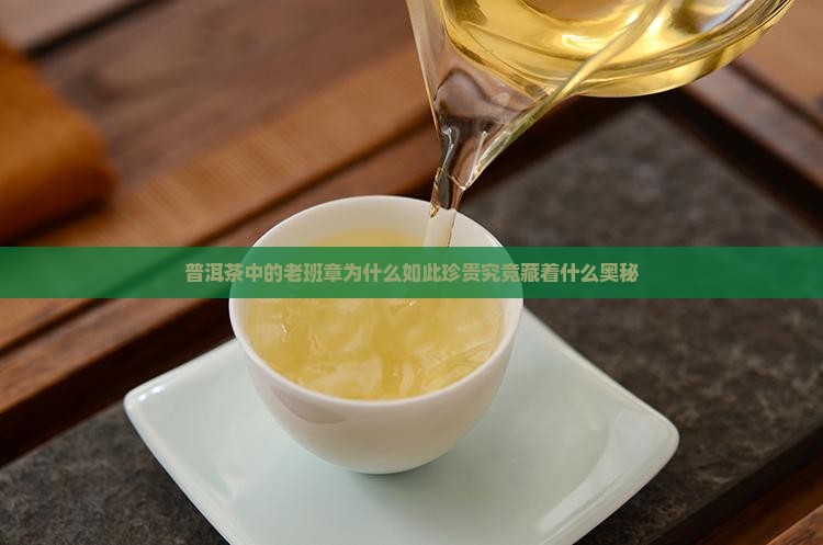 普洱茶中的老班章为什么如此珍贵究竟藏着什么奥秘