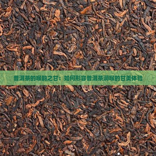 普洱茶的喉韵之甘：如何形容普洱茶润喉的甘美体验