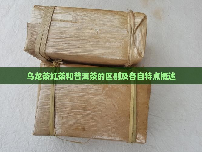 乌龙茶红茶和普洱茶的区别及各自特点概述