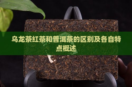 乌龙茶红茶和普洱茶的区别及各自特点概述