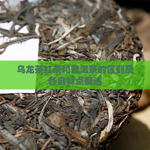 乌龙茶红茶和普洱茶的区别及各自特点概述