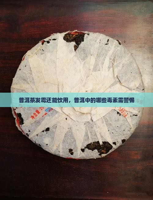 普洱茶发霉还能饮用，普洱中的哪些毒素需警惕