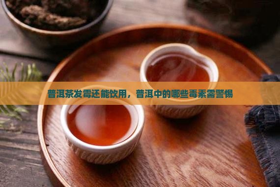 普洱茶发霉还能饮用，普洱中的哪些毒素需警惕