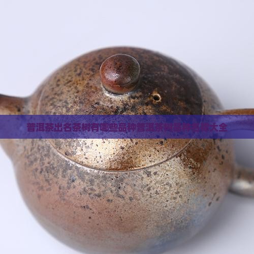 普洱茶出名茶树有哪些品种普洱茶树品种名称大全 普洱茶出名茶树有哪些品种普洱茶树品种名称大全