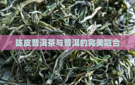 陈皮普洱茶与普洱的完美融合