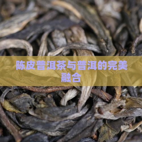 陈皮普洱茶与普洱的完美融合