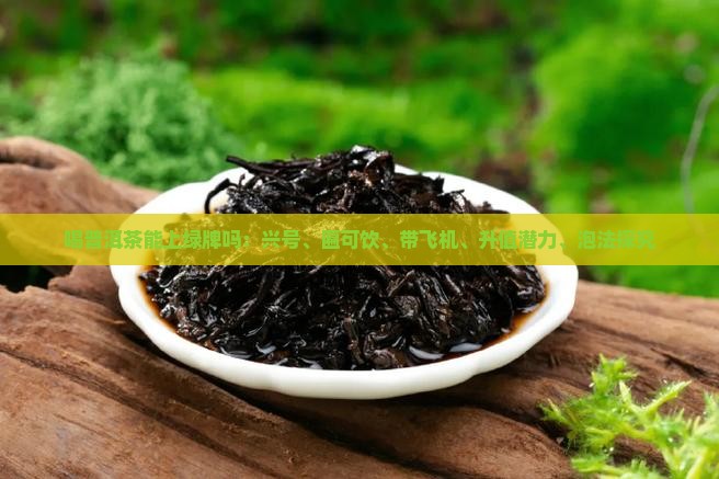 喝普洱茶能上绿牌吗：兴号、匾可饮、带飞机、升值潜力、泡法探究