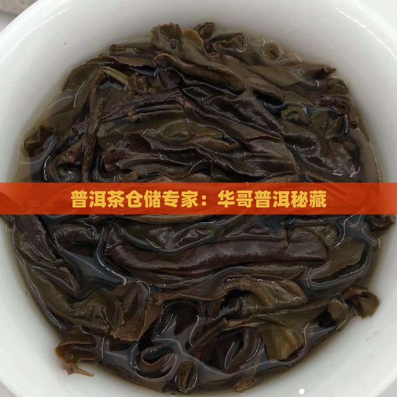 普洱茶仓储专家:华哥普洱秘藏 普洱茶仓储专家:华哥普洱秘藏