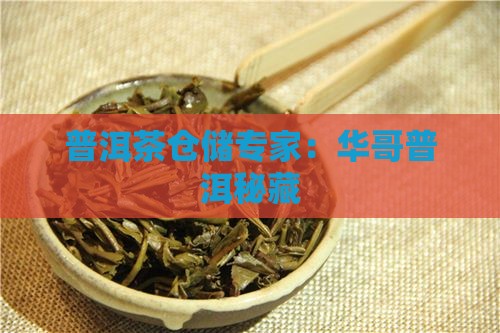 普洱茶仓储专家:华哥普洱秘藏 普洱茶仓储专家:华哥普洱秘藏