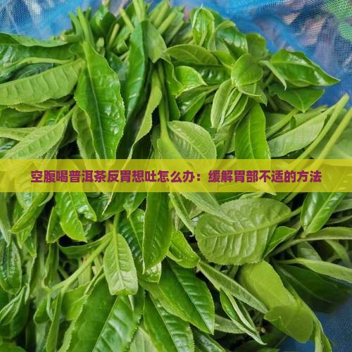 空腹喝普洱茶反胃想吐怎么办：缓解胃部不适的方法