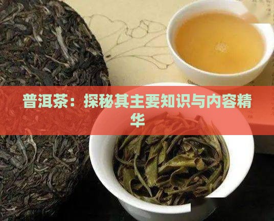普洱茶：探秘其主要知识与内容精华