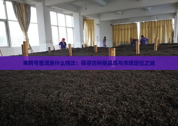 黄聘号普洱茶什么档次：探寻古树茶品质与市场定位之谜