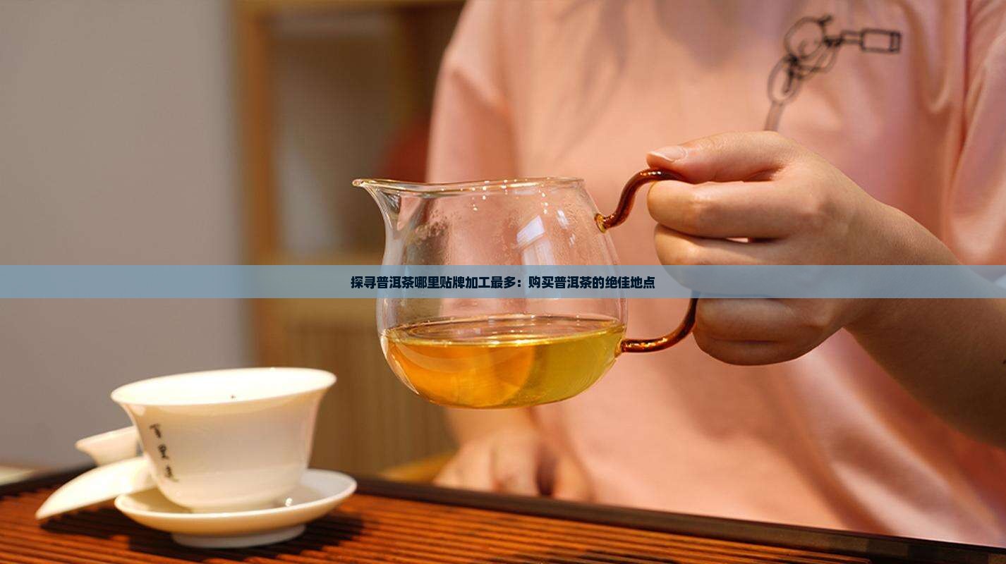 探寻普洱茶哪里贴牌加工最多：购买普洱茶的绝佳地点