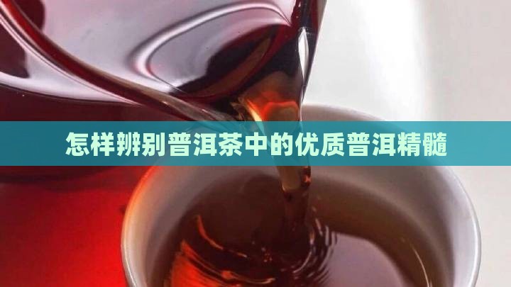 怎样辨别普洱茶中的优质普洱精髓