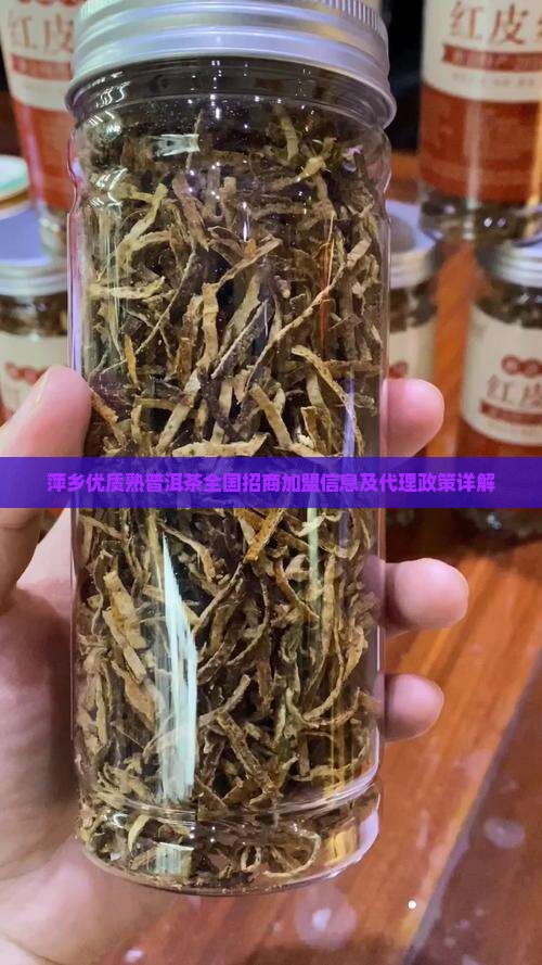 萍乡优质熟普洱茶全国招商加盟信息及代理政策详解