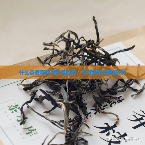什么茶解毒利尿解毒的茶，利尿排毒效果最快？