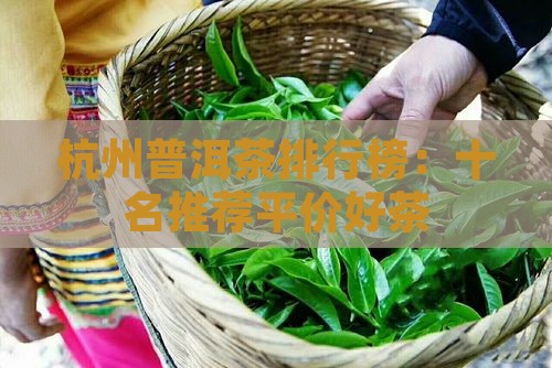 杭州普洱茶排行榜：十名推荐平价好茶