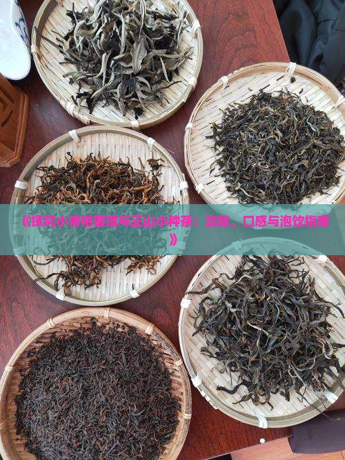 《探究小青柑普洱与正山小种茶：功效、口感与泡饮指南》