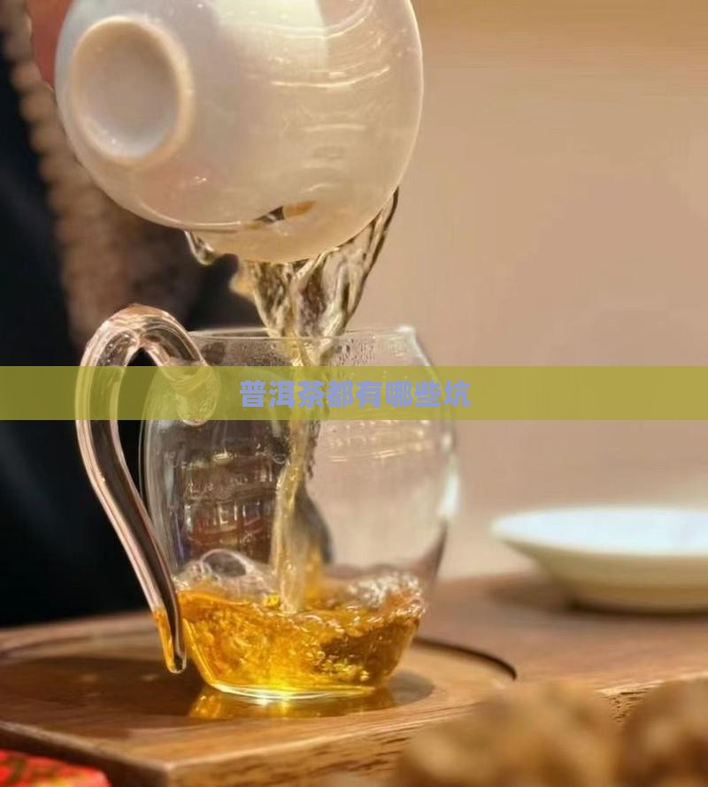 普洱茶都有哪些坑