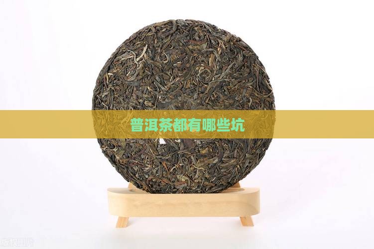 普洱茶都有哪些坑