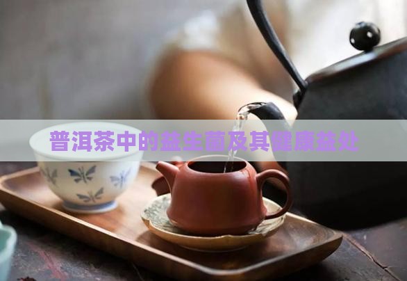 普洱茶中的益生菌及其健康益处