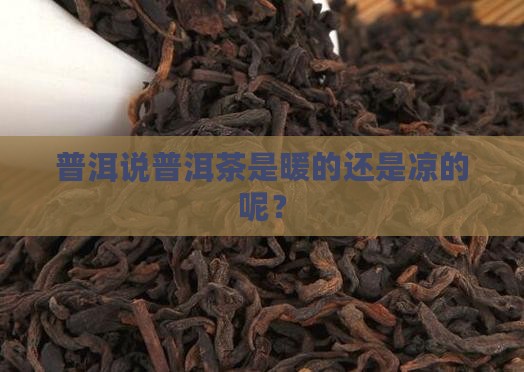 普洱说普洱茶是暖的还是凉的呢？
