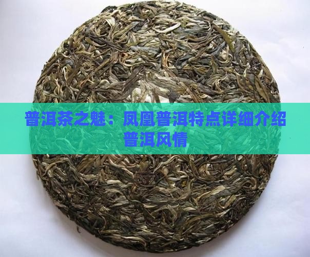 普洱茶之魅：凤凰普洱特点详细介绍普洱风情