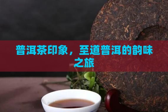 普洱茶印象，至道普洱的韵味之旅