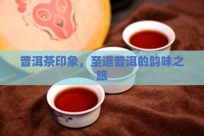 普洱茶印象，至道普洱的韵味之旅