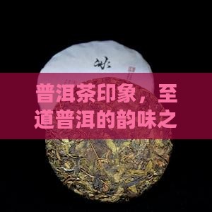 普洱茶印象，至道普洱的韵味之旅