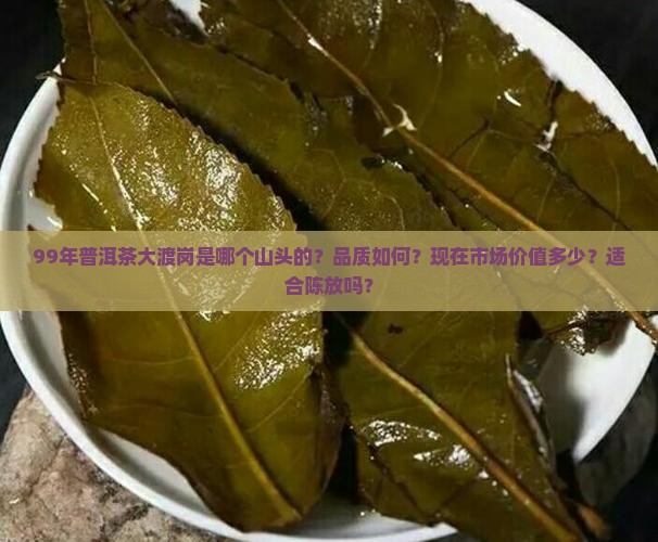 99年普洱茶大渡岗