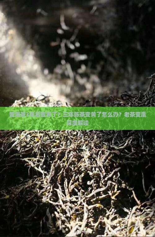 普洱茶3年后变黄了
