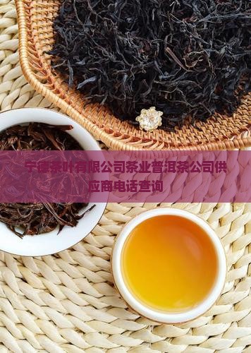 宁德普洱茶供应商电话查询