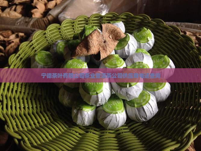 宁德普洱茶供应商电话查询