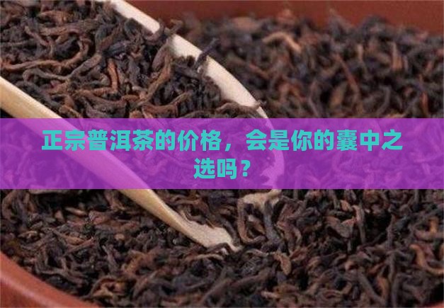 正宗的普洱茶多少钱一斤