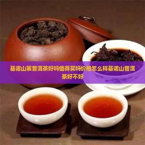 基诺山寨普洱茶好吗