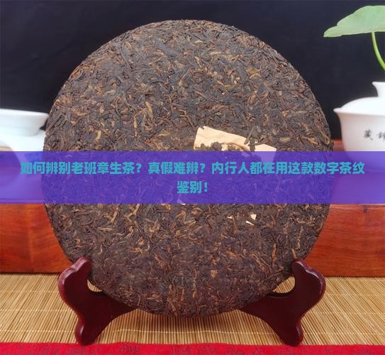 辨别老班章生茶
