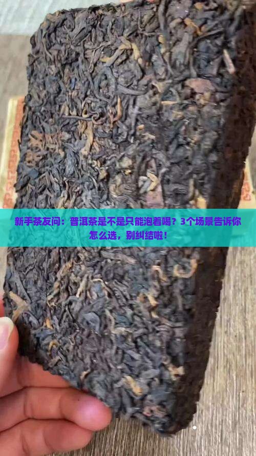 普洱茶是不是泡着喝 普洱茶是不是泡着喝
